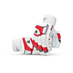 Whitedot Brave 12.0 Cricket Batting Gloves