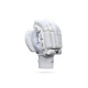 Whitedot Brave 15.0 Cricket Batting Gloves