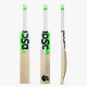 DSC Alex Hales Cricket Cricket Bat