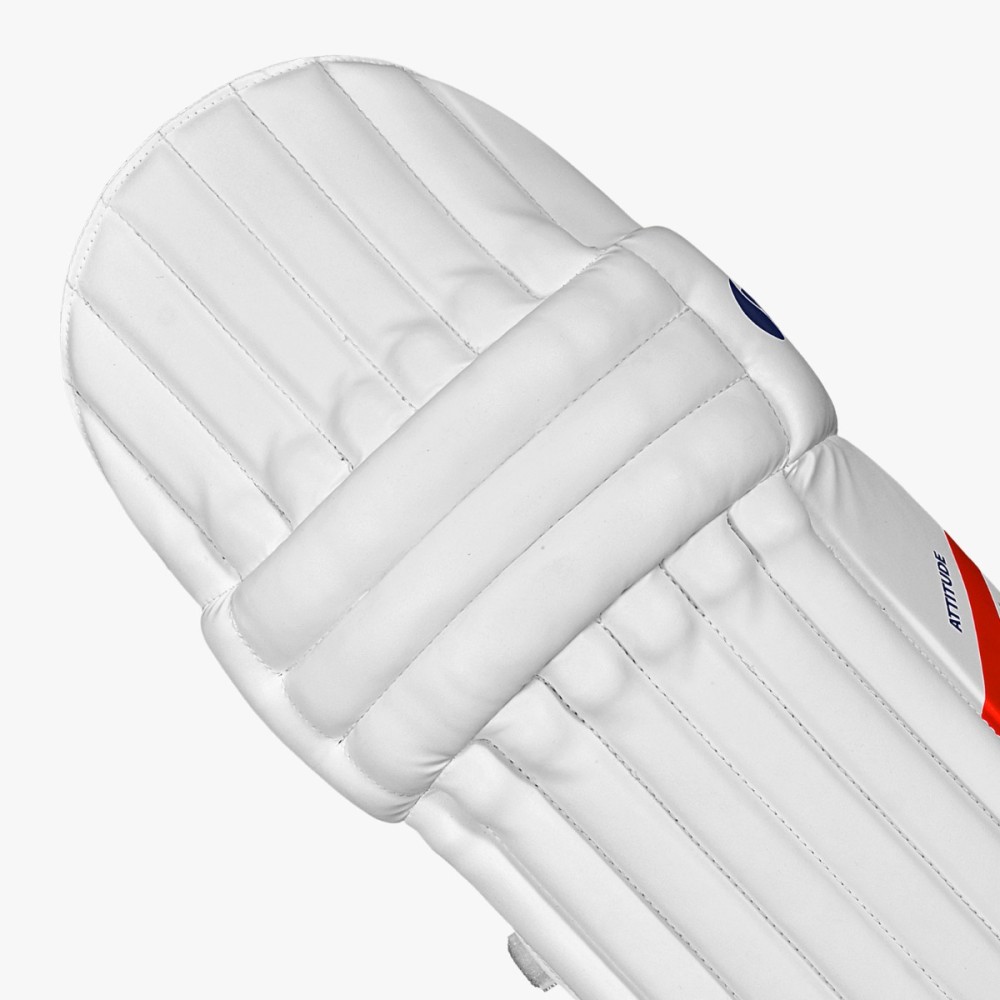 DSC Attitude Cricket Batting Leg Guard