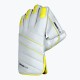 DSC Condor Flite Wicket Keeping Gloves DSC Condor Flite Wicket Keeping Gloves