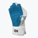 DSC Condor Glider Wicket Keeping Gloves DSC Condor Glider Wicket Keeping Gloves