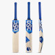 DSC Dynamo LE Incredible Willow Cricket Bat