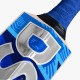 DSC Dynamo LE Incredible Willow Cricket Bat