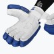 DSC Flite 20/20 Cricket Batting Gloves (Blue)