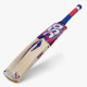 DSC Intense Clout Kashmir Willow Cricket Bat DSC Intense Clout Kashmir Willow Cricket Bat