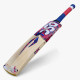 DSC Intense Force Kashmir Willow Cricket Bat DSC Intense Force Kashmir Willow Cricket Bat