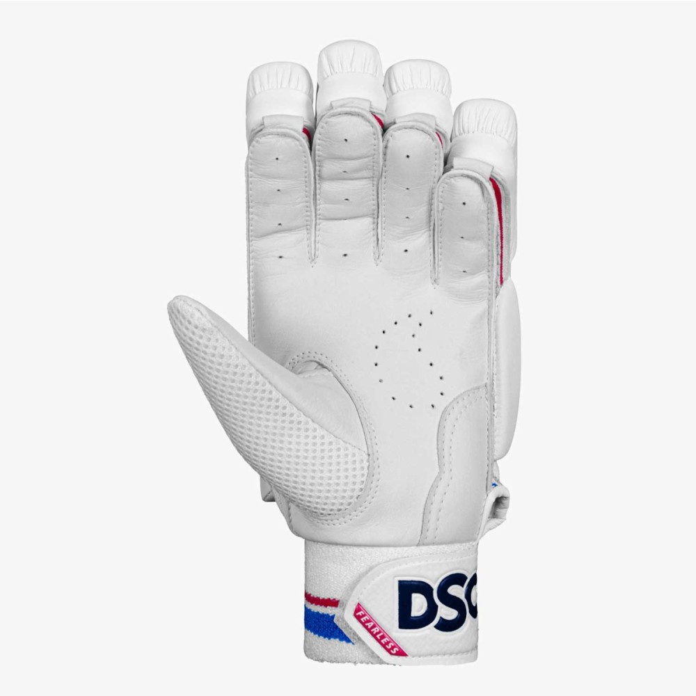 DSC Intense Frost Cricket Batting Gloves