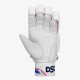 DSC Intense Frost Cricket Batting Gloves