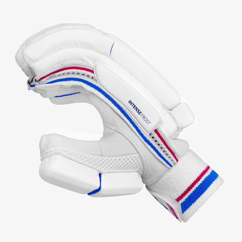 DSC Intense Frost Cricket Batting Gloves