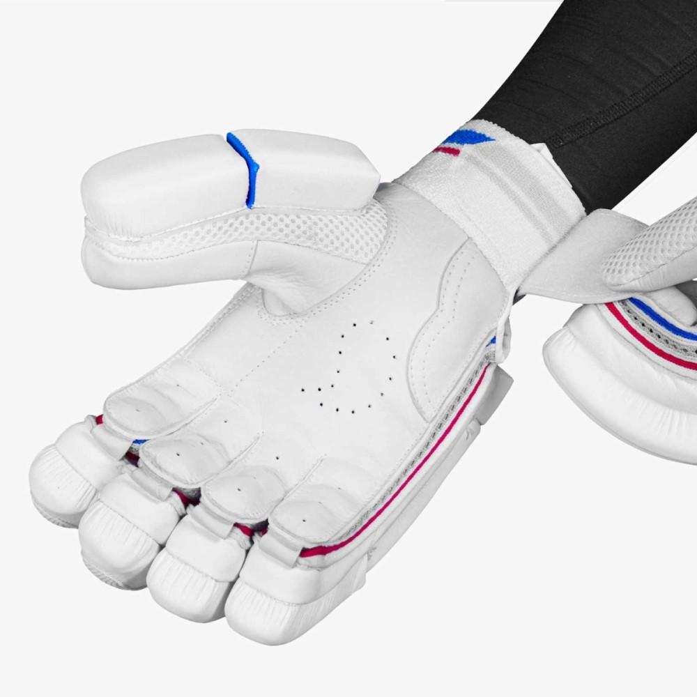 DSC Intense Frost Cricket Batting Gloves