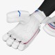 DSC Intense Frost Cricket Batting Gloves