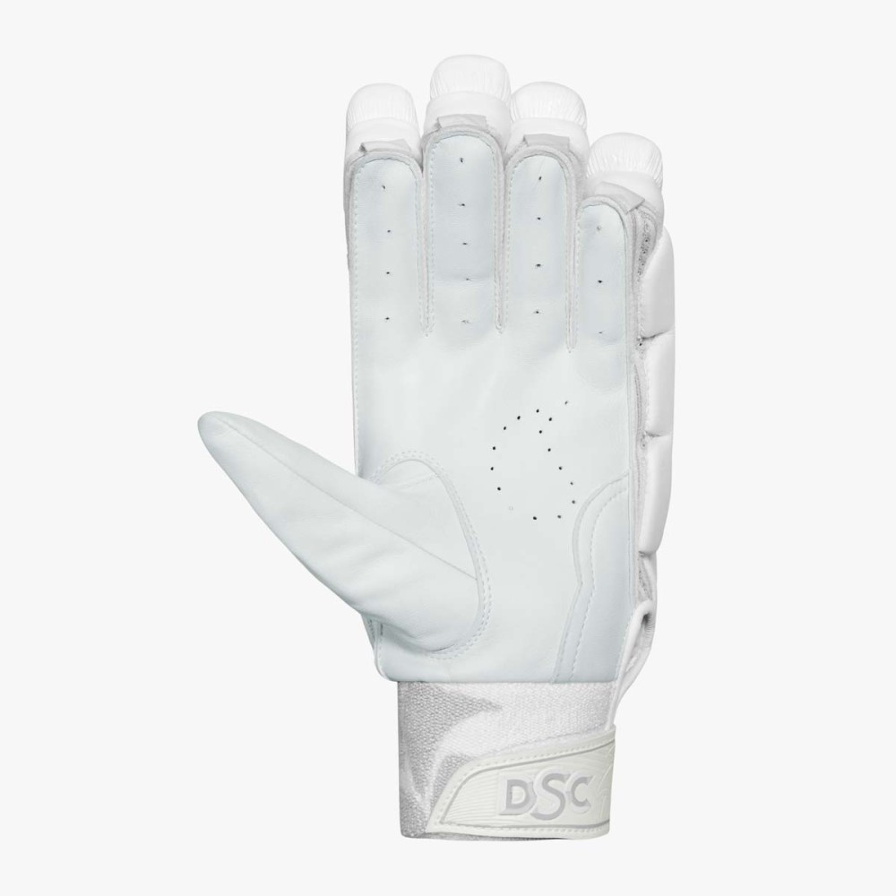 DSC Krunch 1.0 Cricket Batting Gloves