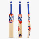 DSC Krunch 55 Kashmir Willow Cricket Bat