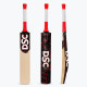 DSC Lava Kashmir Willow Cricket Bat