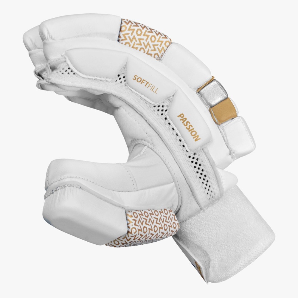 DSC Passion Cricket Batting Gloves