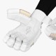 DSC Passion Cricket Batting Gloves