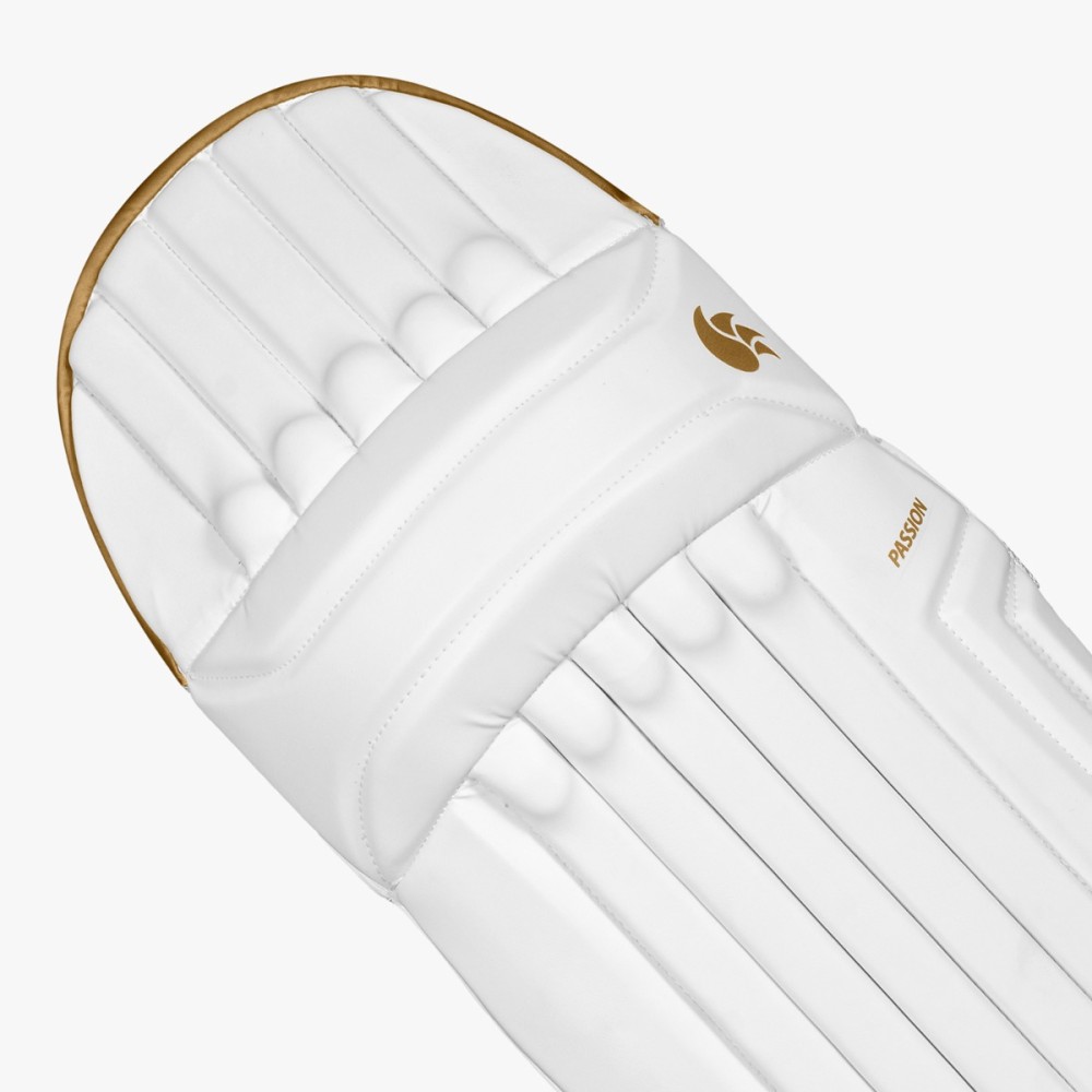 DSC Passion Cricket Batting Leg Guard