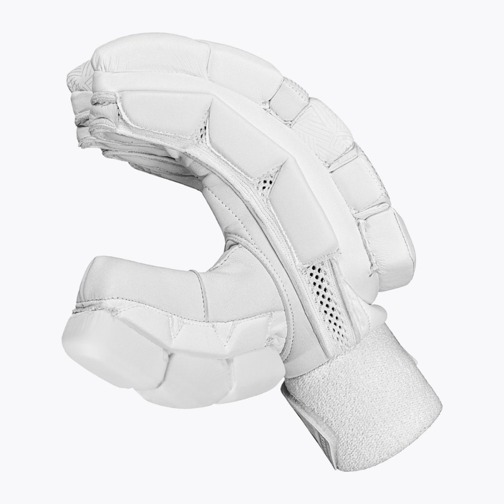DSC Players Cricket Batting Gloves