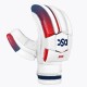 DSC Rave Cricket Batting Gloves