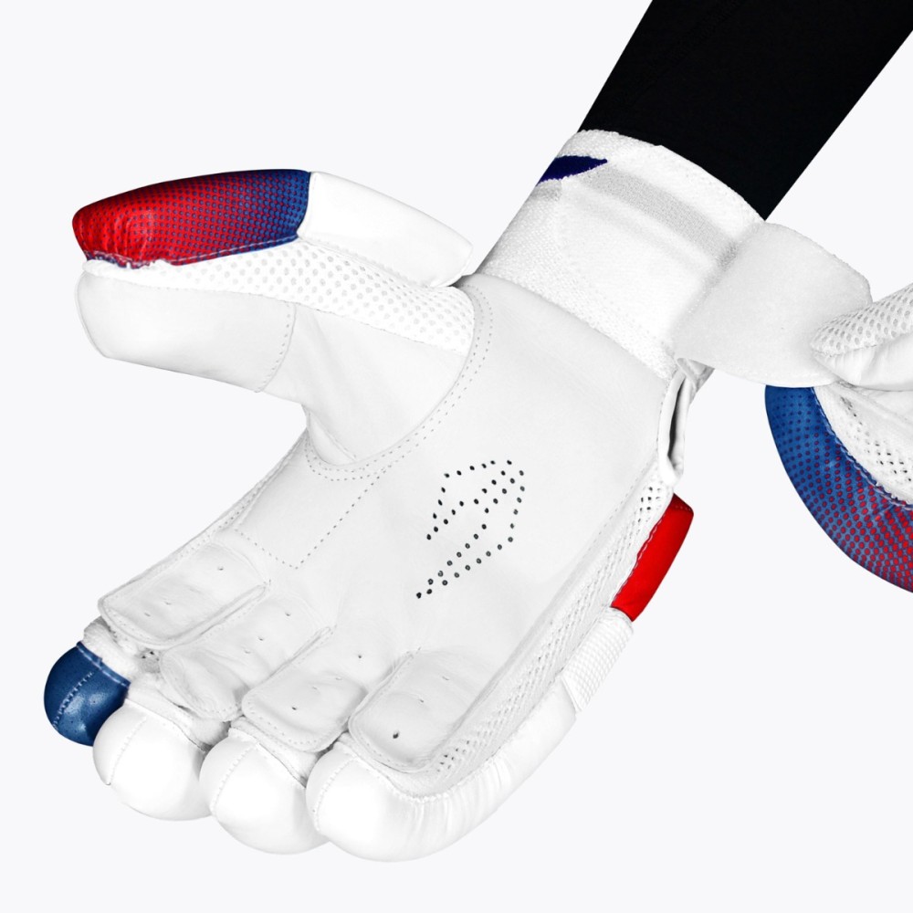 DSC Rave Cricket Batting Gloves