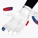 DSC Rave Cricket Batting Gloves