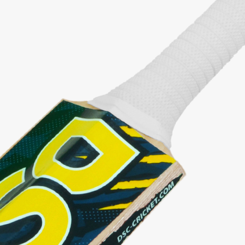 DSC Roar Blast Kashmir Willow Cricket Bat