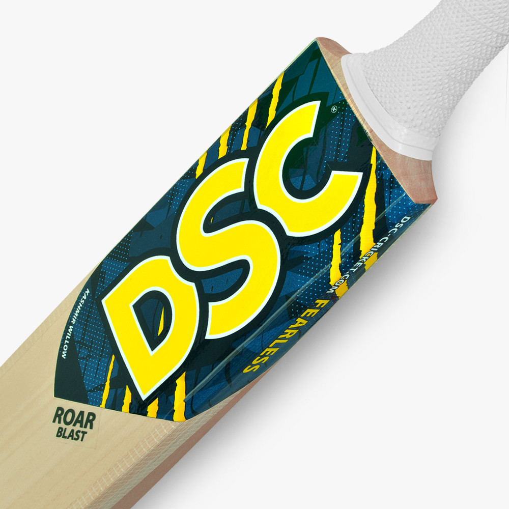 DSC Roar Blast Kashmir Willow Cricket Bat