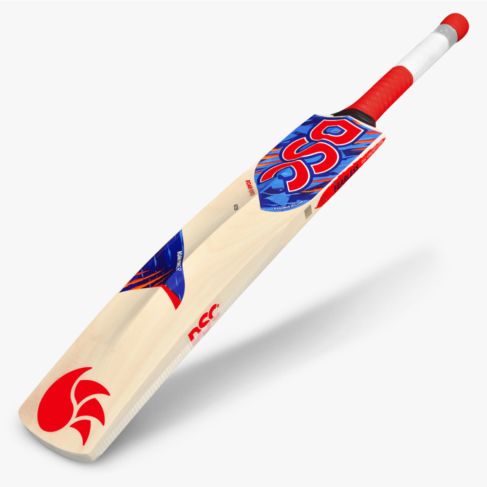 DSC Roar Hunter Kashmir Willow Cricket Bat