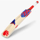 DSC Roar Hunter Kashmir Willow Cricket Bat