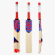 DSC Roar Hunter Kashmir Willow Cricket Bat