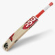 DSC Roar Terra Kashmir Willow Cricket Bat