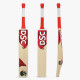 DSC Roar Terra Kashmir Willow Cricket Bat