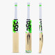 DSC Spliit 99 Kashmir Willow Cricket Bat