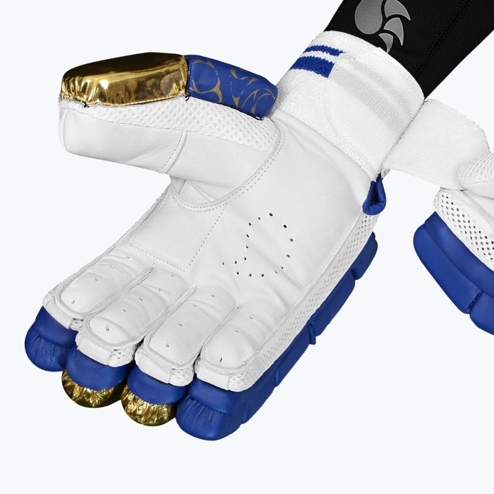DSC Strike 20/20 Cricket Batting Gloves (Blue)