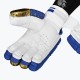 DSC Strike 20/20 Cricket Batting Gloves (Blue)