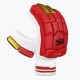 DSC Strike 20/20 Cricket Batting Gloves (Red)