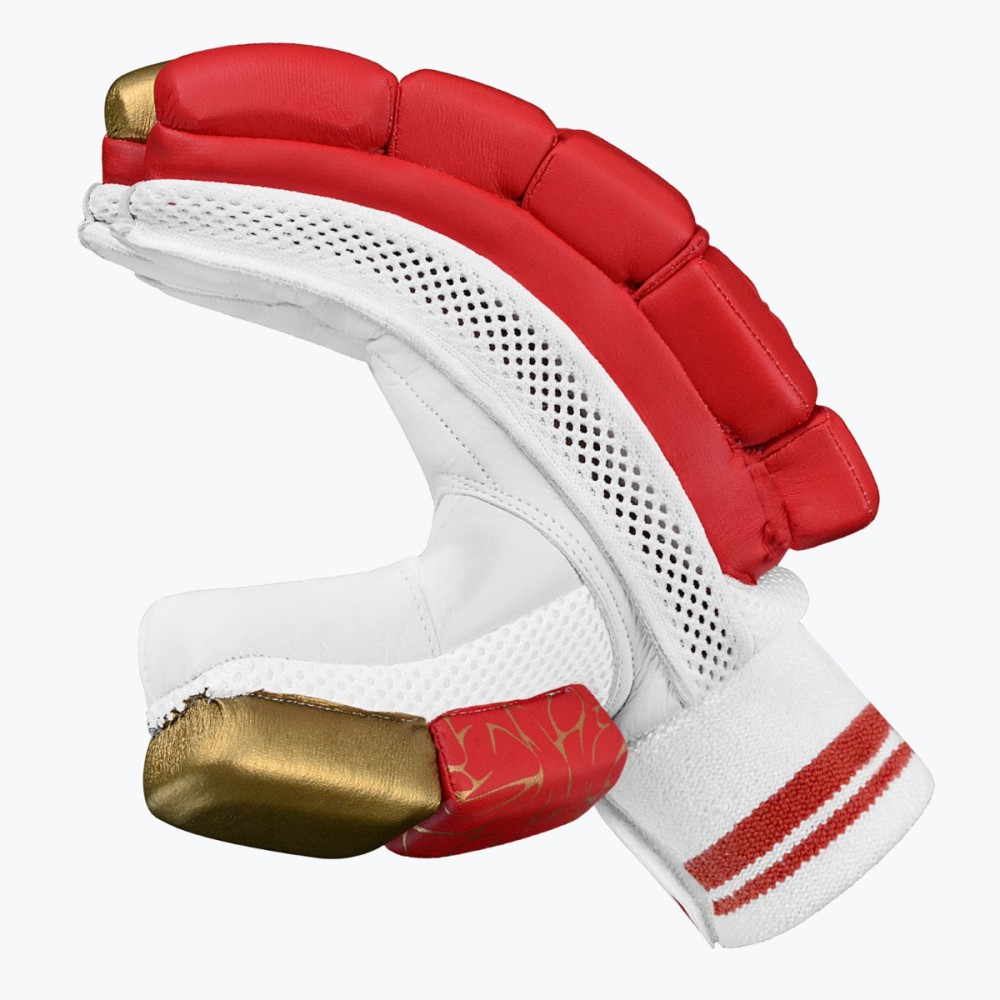 DSC Strike 20/20 Cricket Batting Gloves (Red)