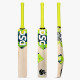 DSC Torment LE Incredible Willow Cricket Bat