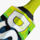 DSC Torment LE Incredible Willow Cricket Bat