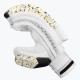 DSC Valor Cricket Batting Gloves