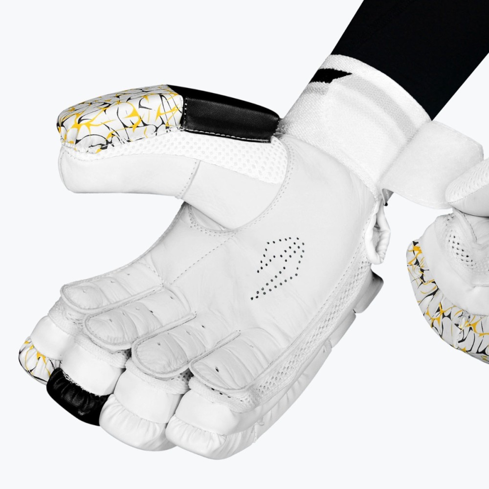DSC Valor Cricket Batting Gloves