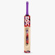 DSC Wildfire Falcon Tennis Cricket Bat