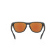 Oakley Frogskins Matte black Prizm Violet Sunglass