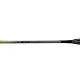 Ashaway Palladium XT 600 Badminton Rackets