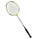 Ashaway Palladium XT 600 Badminton Rackets