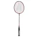 Ashaway Palladium XT 80 Badminton Racket