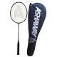 Ashaway Phantom X - Shadow II Badminton Racket