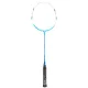Ashaway TI 120 Badminton Racket