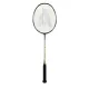 Ashaway Viper XT 96 Badminton Rackets